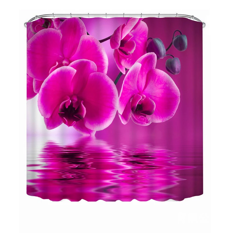 3963645421_565562340