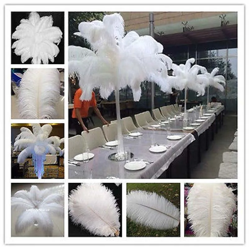

Wholesale!Free shipping 100 pcs20-22 inch 50-55cm beautiful white ostrich feathers