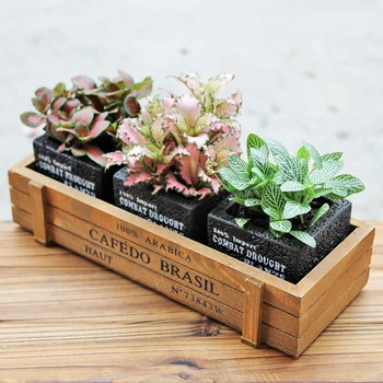 

Set of 3 Black Cement Flowerpots Cube Succulent Plant Pots Mini Bonsai Planter with 1 Brown Wooden Box (3 Pots + 1 Box)