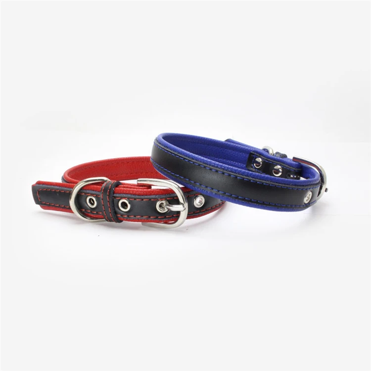 dogs collar (10)