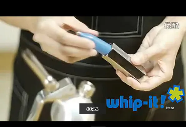 Whip Coffee Dessert Fresh Cream Butter Whipper Dispenser 500Ml Cream Gun High Grade Stainless Steel Cream Whipper