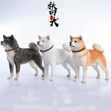 JxK.Studio Model Black/white/orange Dog 1/6 Scale Japanese Akita Jxk007A/B/C Series Animal Figure for 12 inches action figure JxK.Studio Model Black/white/orange Dog 1/6 Scale Japanese Akita Jxk007A/B/C Series Animal Figure for 12 inches action figure