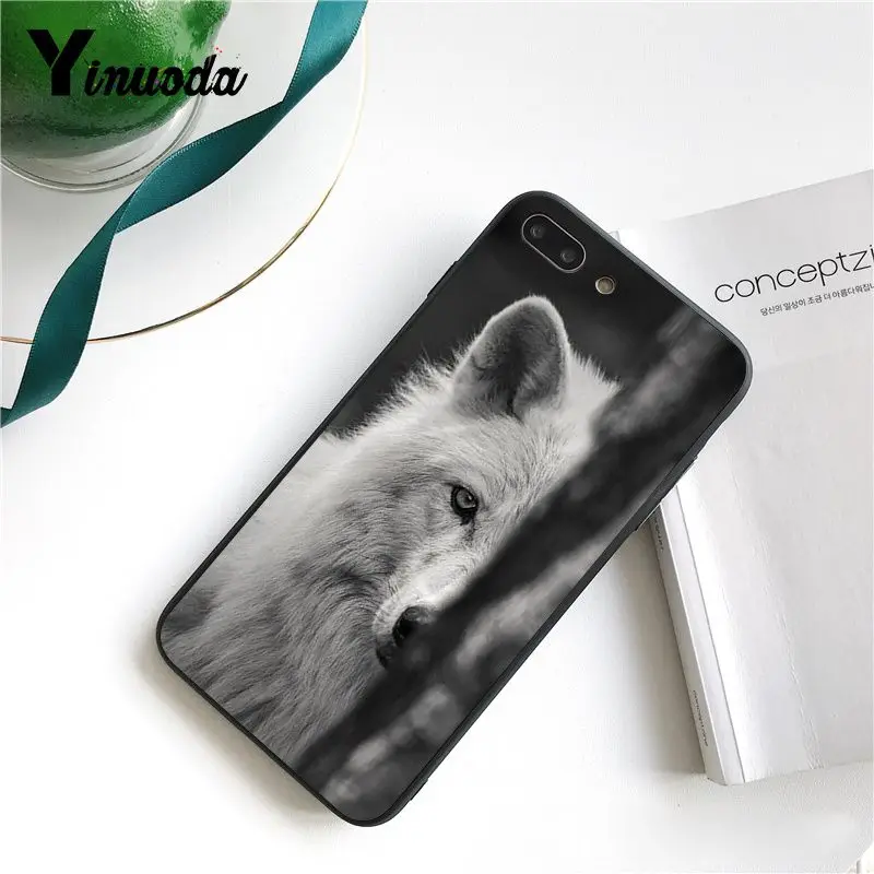 Cool Wolf (9)