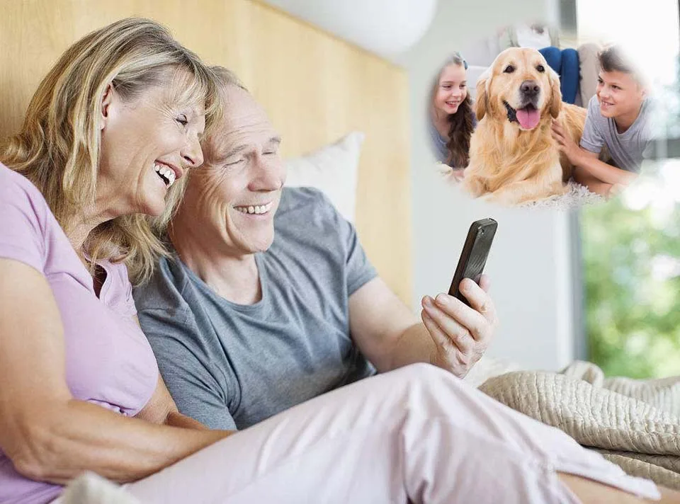 1.2 Pet Care 