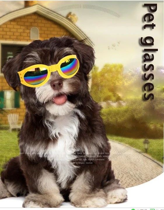 HTB1duq9d.GF3KVjSZFmq6zqPXXaE