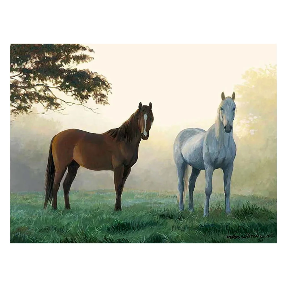 Конь ф 5. Карабахский скакун. Лошади фон. Пегая фризская лошадь. Конь ф 5.