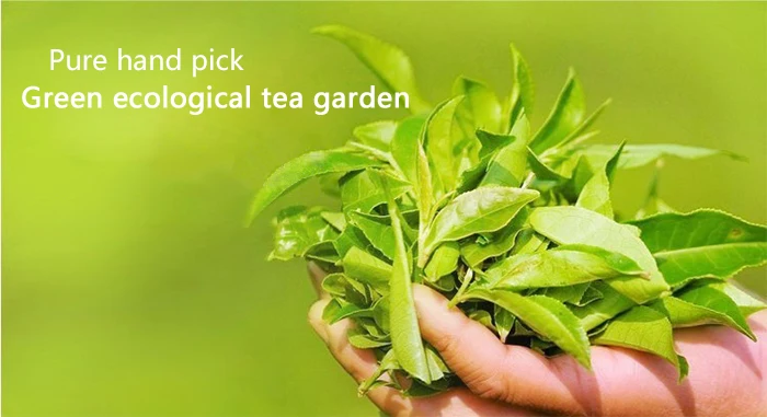 50pcs 10 Different Flavors Yunnan China Mini Tuo Puer Tea Ripe Raw Roasted Puerh Flavors Selection Health Care Beauty Product