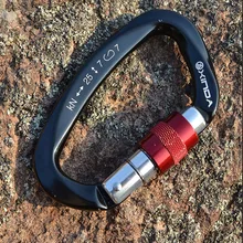 25KN Professional Carabiner D Shape Safety Master Lock Outdoor Rock Climbing Buckle Equipment New