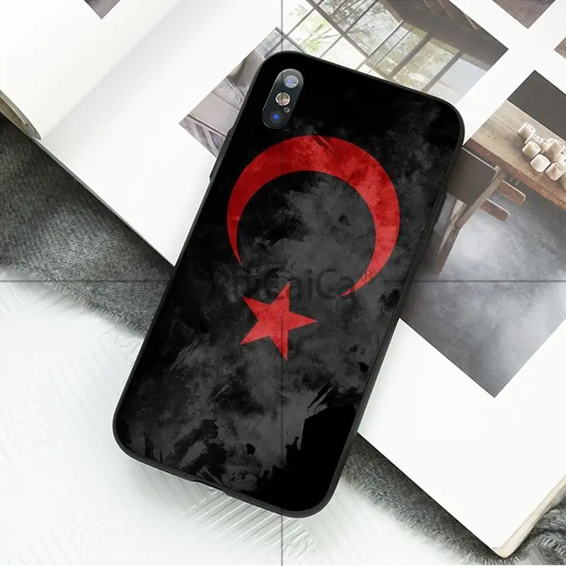 Flag of Turkey Wolf