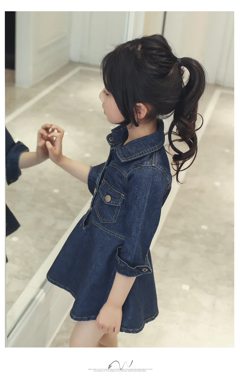 Denim Dresses (9)