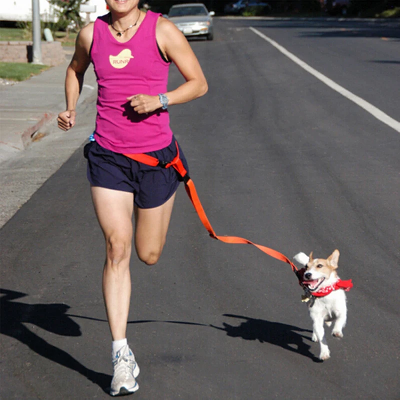 

New Waist Pet Leash Dog Outside Running Adjustable Walking Training Puppy Dog Leash Lead
