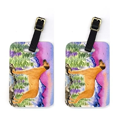Carolines Treasures SS8327BT Pair of 2 Rhodesian Ridgeback Luggage Tags (1)