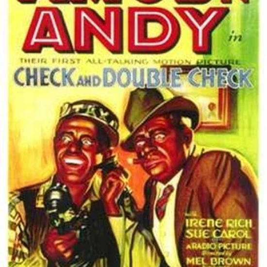 Check and Double Check Movie Poster (11 x 17)