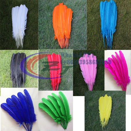 Turkey feathers 50 pcs 25-30cm/10-12inch three Colors blue green DIY  carnival