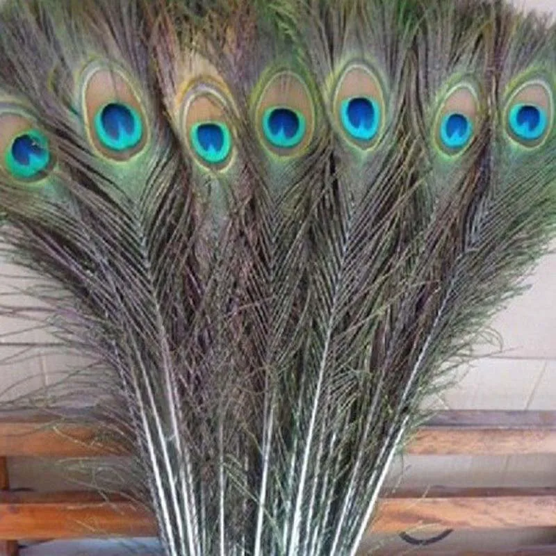 

wholesale 30pcs beautiful natural peacock feather eyes 16-18 inches / 40-45 cm