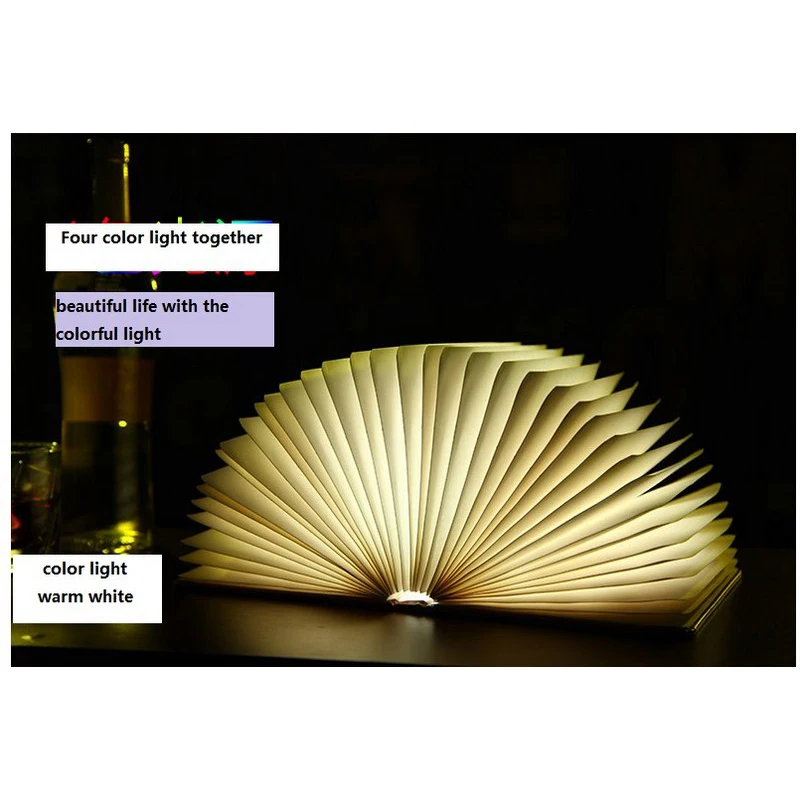book lamp (3)