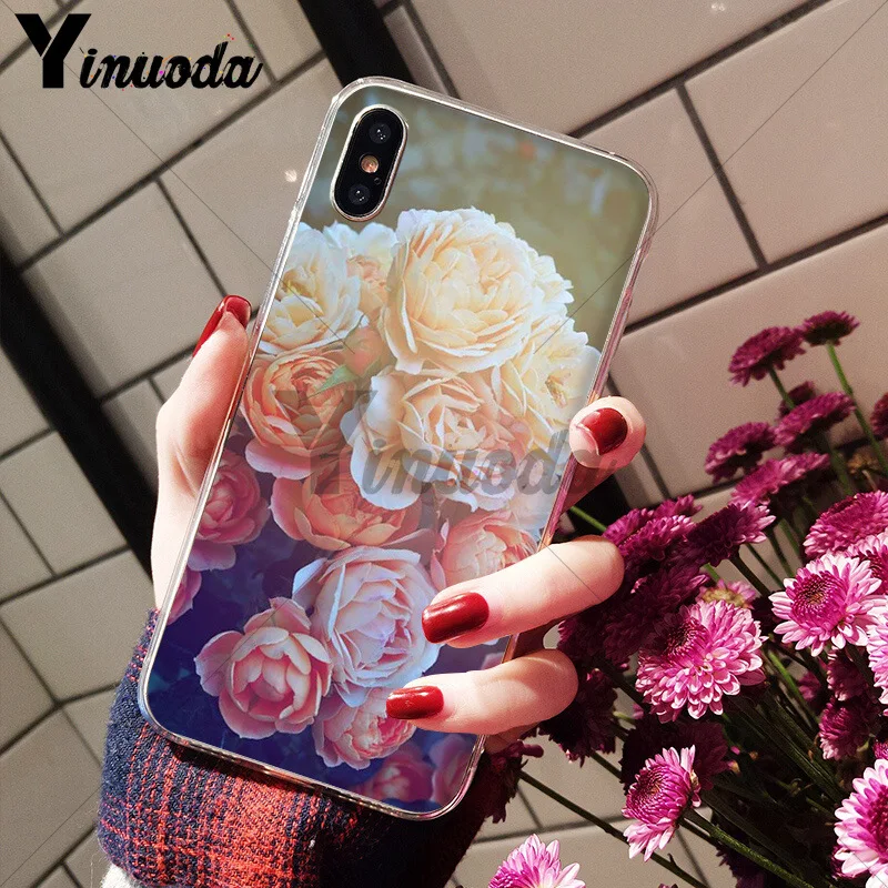 Flower Pink Peonies Peony
