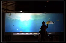 El Envío Gratuito! 4.5 metros cuadrados (1.524 m * 3 m) película de pantalla de proyección trasera Transparente/ventana de aluminio para vidrio pantalla