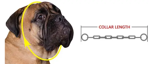how-to-measure-choke-collar