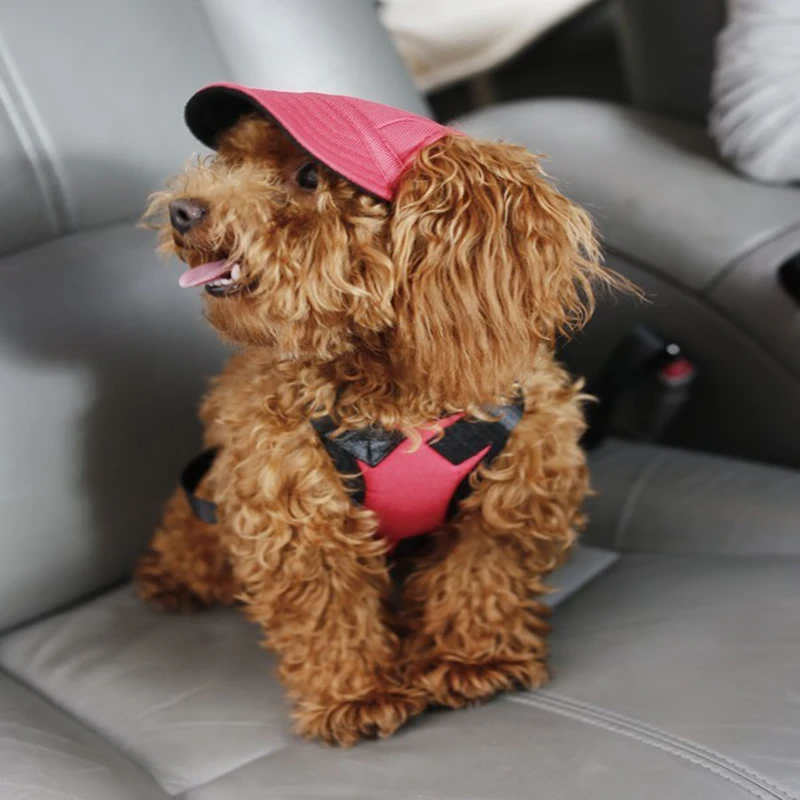 TAILUP собака шляпа от солнца с отверстиями для ушей, летняя бейсболка из грубой ткани для собака мелких пород на день рождения на открытом воздухе походные товары для животных, 11 цветов на выбор