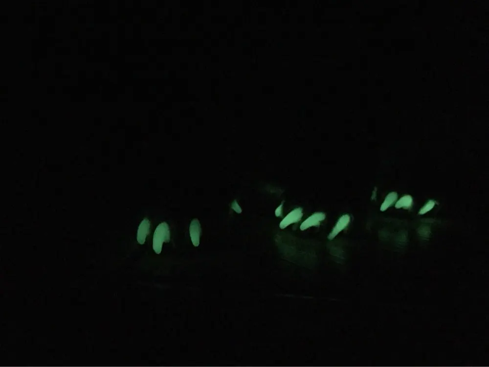 UT8guugX1JaXXagOFbX3