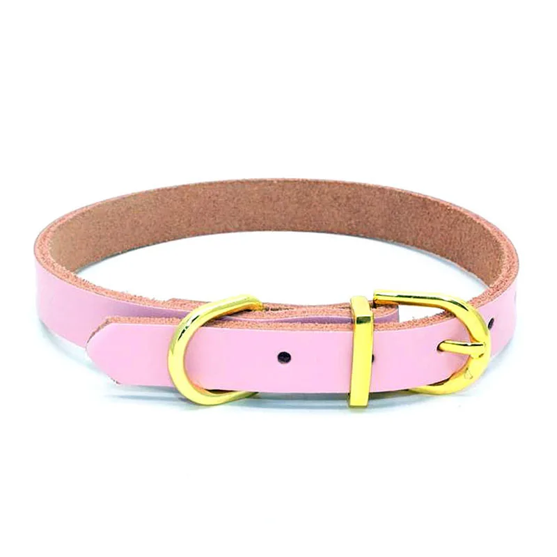 SYDZSW Real Leather Chihuahua Dog Collar Puppy Pet Collar leads for Small Dogs Cats Top Grade Golden Buckle Pet Dog Collar4