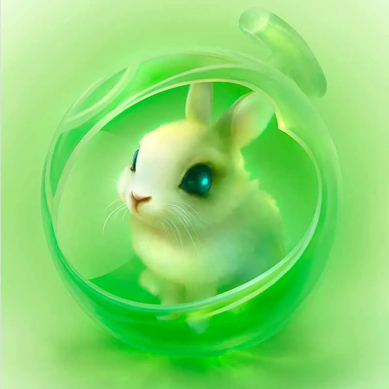 5d diy square animal diamond embroidery kits painting cross stitch mosaic craft cartoon animals decoration for children' room