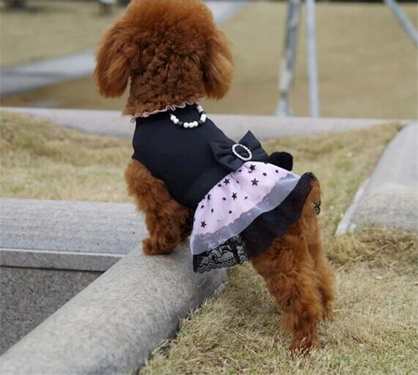 Teddy Bear Dog Chihuahua Clothing Summer Spring Cloth Teddy Bear Dog Chihuahua Clothing Summer Spring Cloth Cute Doggie Clothes Papillon Schnauzer Pomeranian Pug In From Home