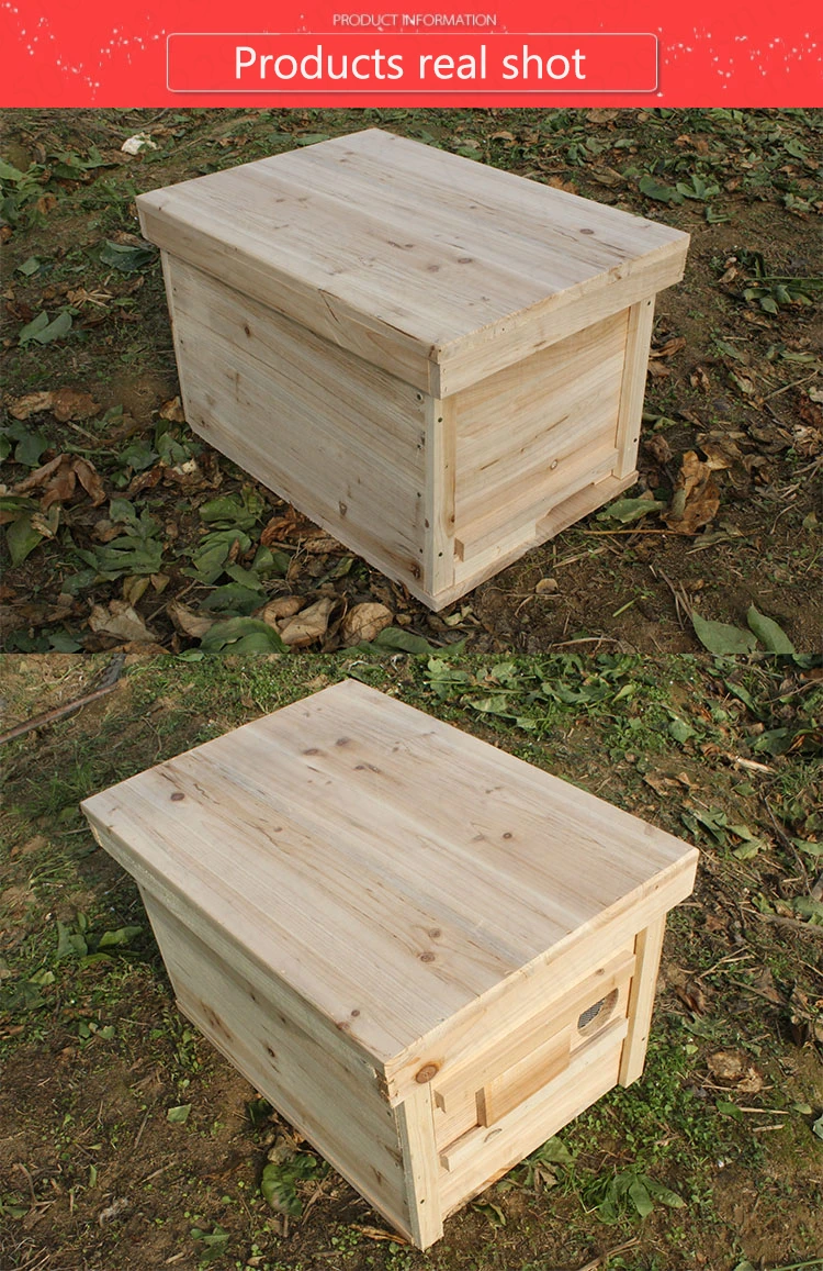 Finished box beekeeping tool full set of pine bee hives in beehive box
