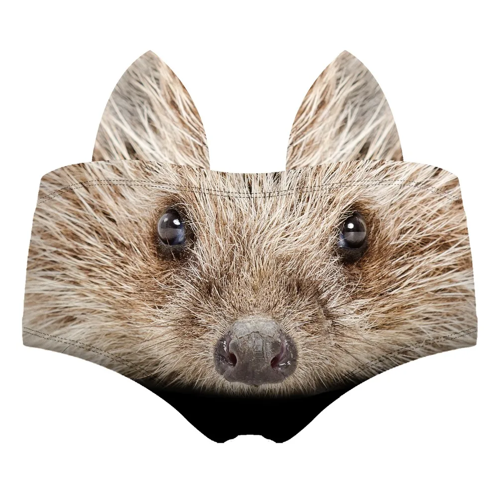 55109 hedgehog wiz back