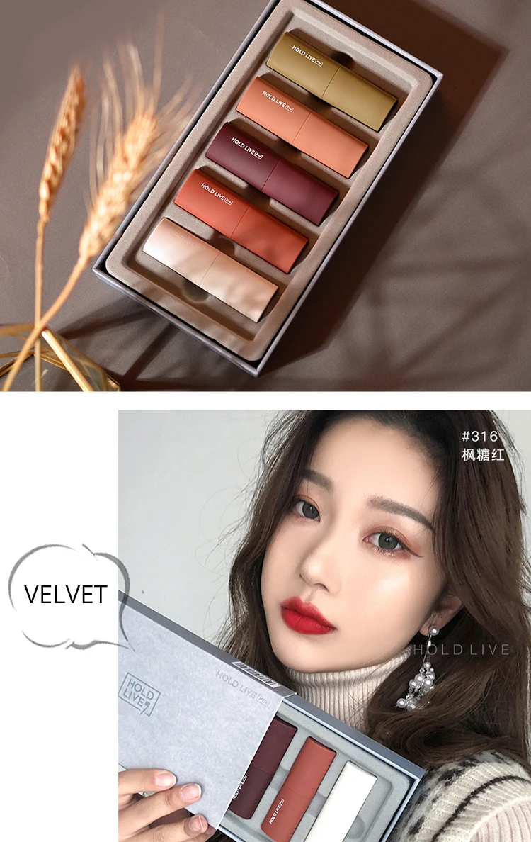 Brand HOLDLIVE 5Pcs Velvet Matte Lipstick Set (19)
