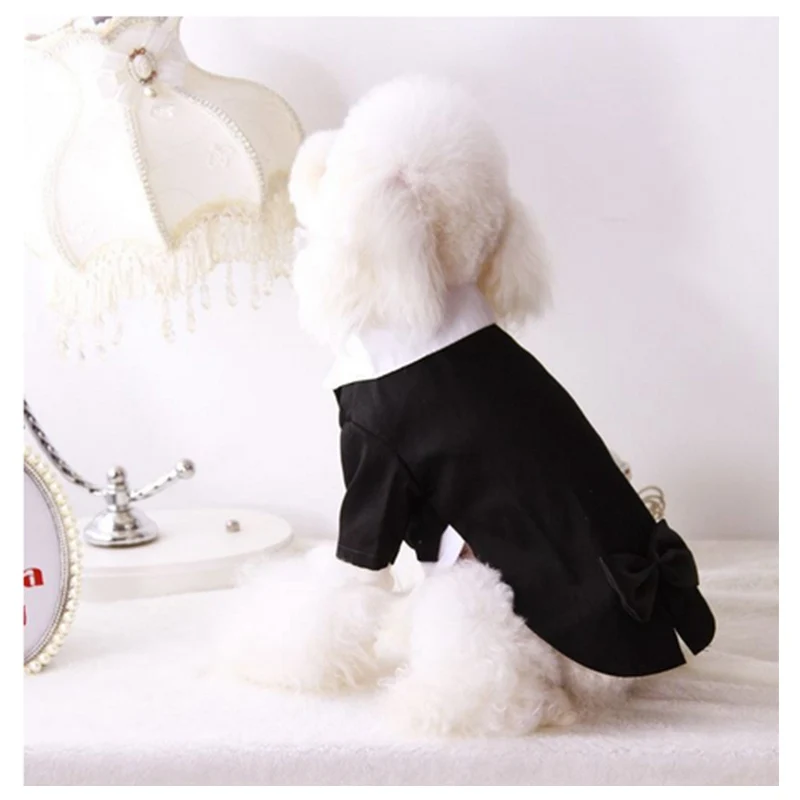

Spring and fall dog coats cute pet suits tuxedos