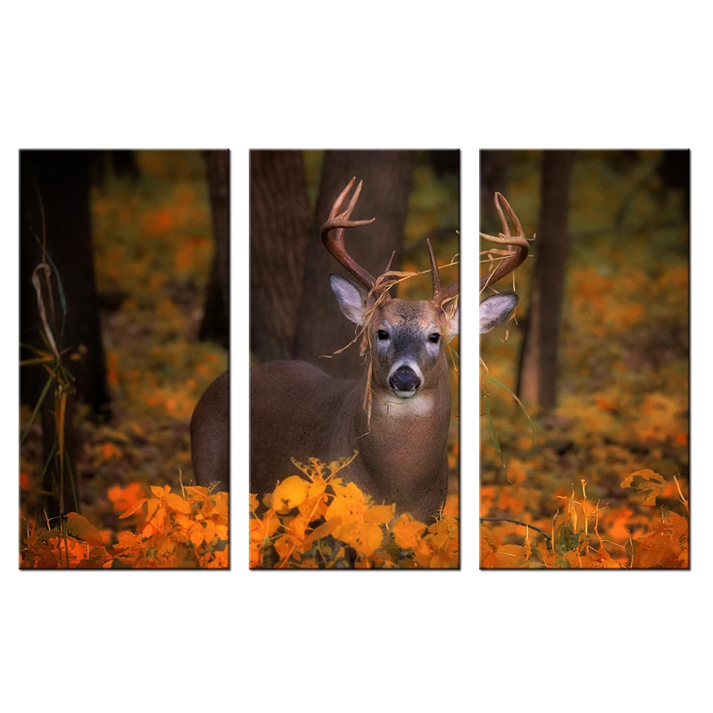 Deer In Autumn Forest Canvas Art Print Poster Animal Wildlife Wall