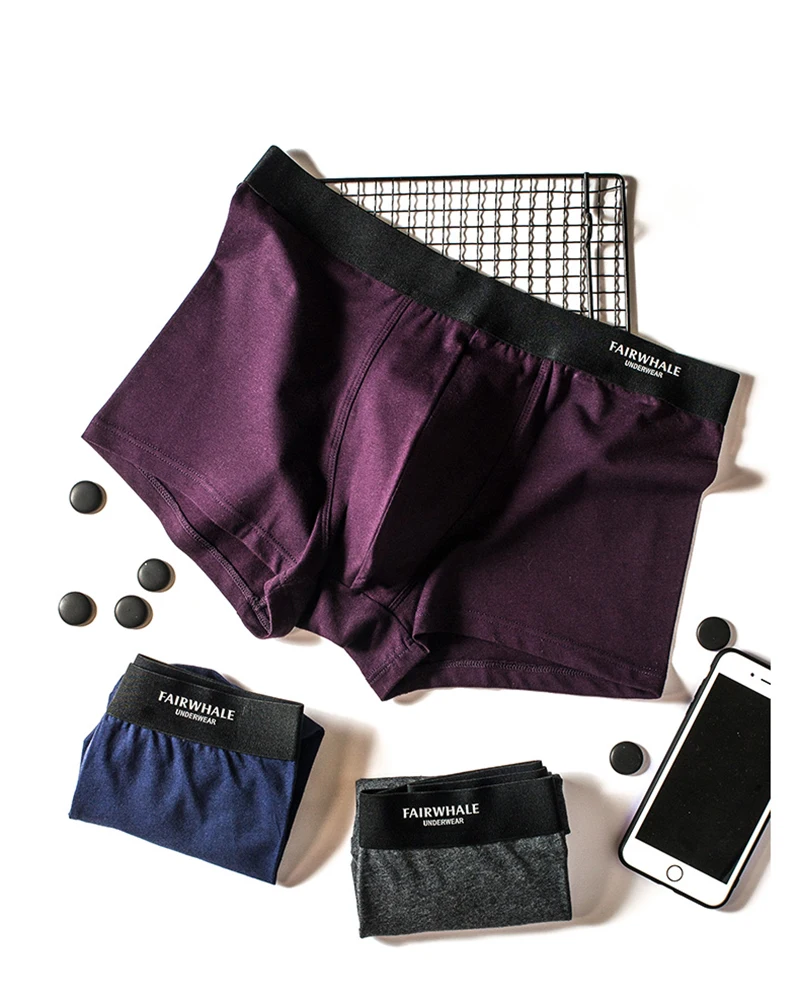 boxer (10)