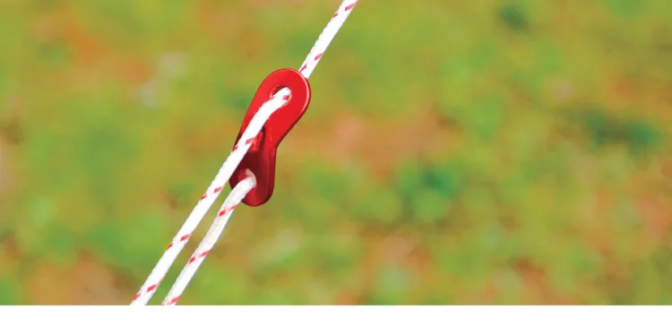 HTB1h4.nPXXXXXatXXXXq6xXFXXXi