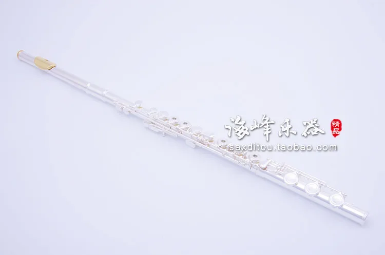 

Armstrong 800B 17 Holes Open C Tune Silver Plated Flute Concert Performance Instrument Flute With Case Cleaning Cloth