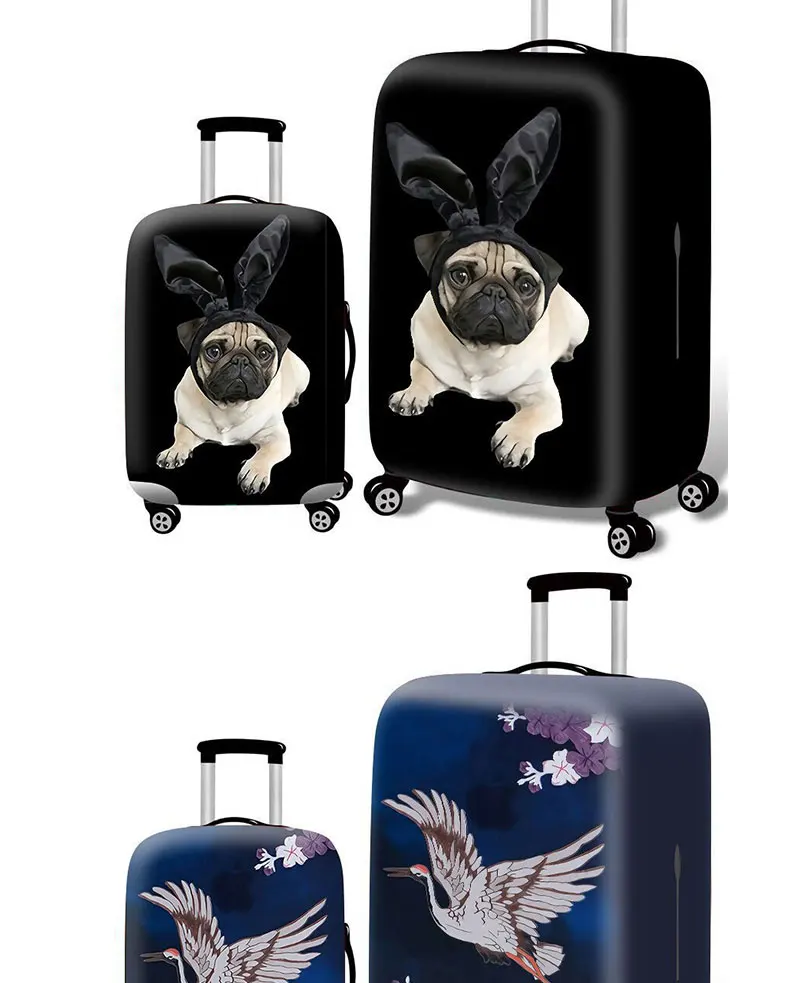 8722599669_178549433_05