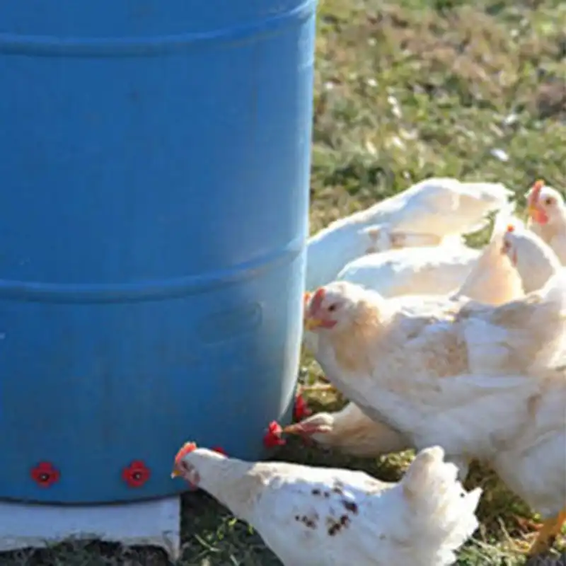 10pcs Horizontal Side Mount Feeding Chicken Duck Rabbit Watering