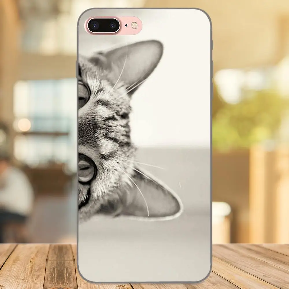 Curious Cat подкрадывающийся ТПУ телефон для Samsung Galaxy A3 A5 A6 A6s A7 A8 A9 Star Plus 2016 2017