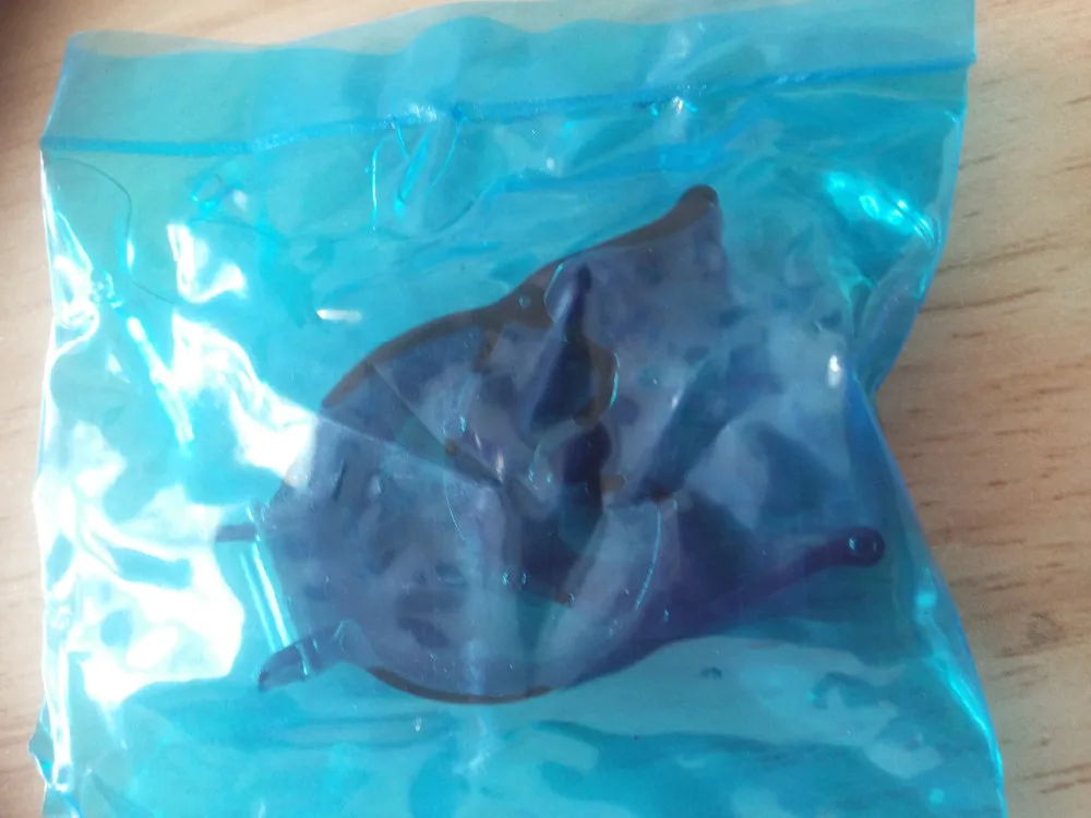 inside packing (1)