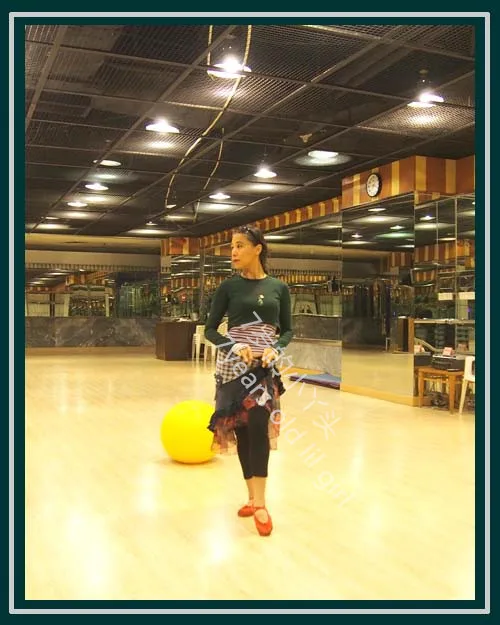 

Belly Dance Top Modal Wear Tribal Fusion H52 74