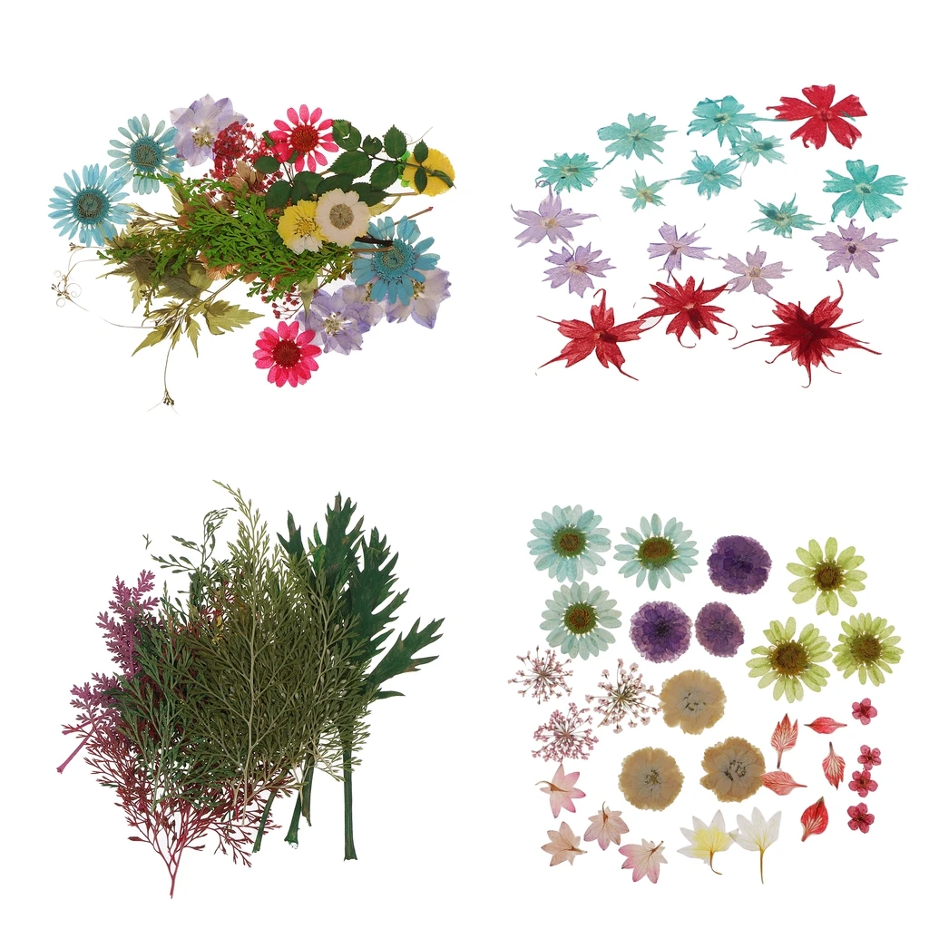 Pack Of Natural Dried Flower Real Flower Mixed For DIY Resin Ornament Craft Card Making Scrapbooking Embellishment Floral Design