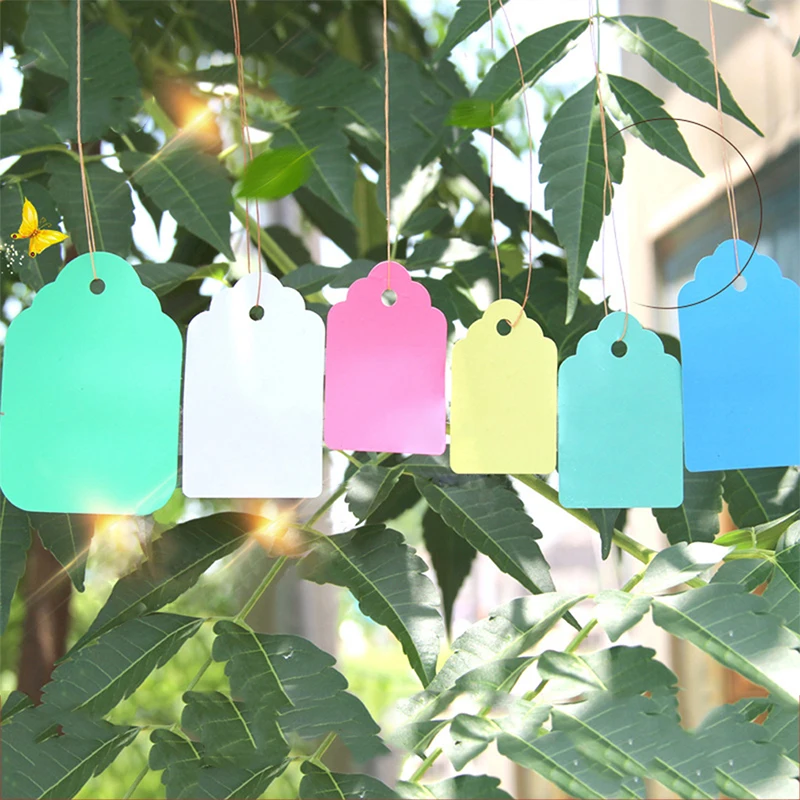 

100 PCS / Lot Reusable PVC Plants Hang Tag Labels Tree Fruits Seedling Garden Flower Pot Plastic Tags Sign Classification Tools