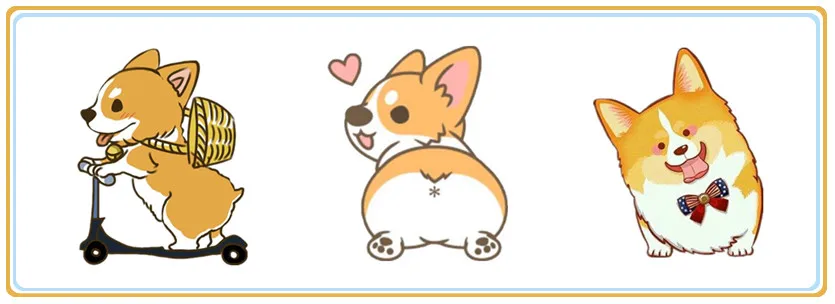 corgi