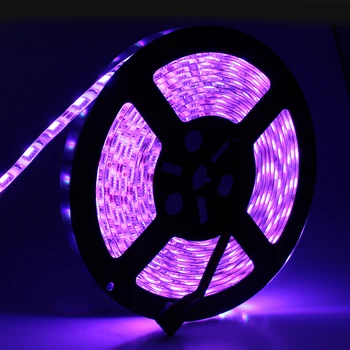 

5M LED Strip Light RGB 5050 60LED/M IP65 waterproof DC12V Flexible LED Tape Light Cold White Warm White Red Blue Yellow