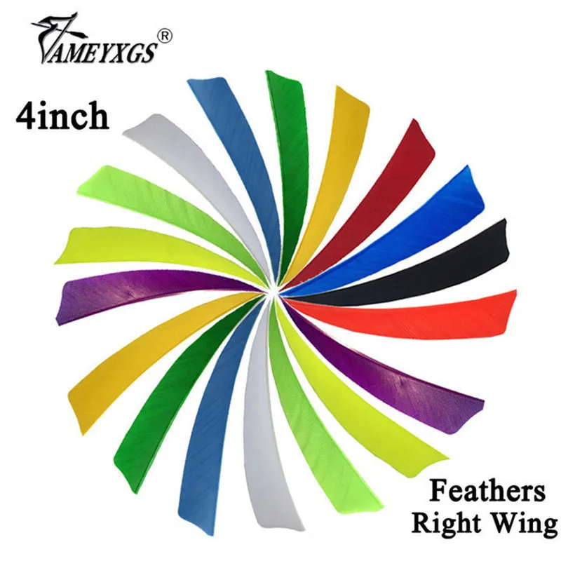 

60/100pcs Archery 4" Turkey Feather Right Wing Arrow Feathers Natural Fletching For Bow And Arrow Shooting Hunting Accessories