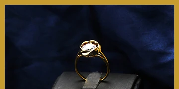 360x180 ring1