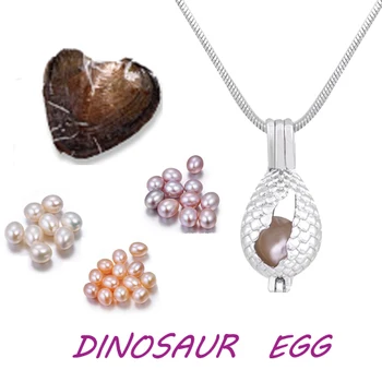 

Hot Sale mix Style dinosaur egg shape cage pendant love Fashion Silver Plated meaningful Jewelry Gifts For Women Children PO145