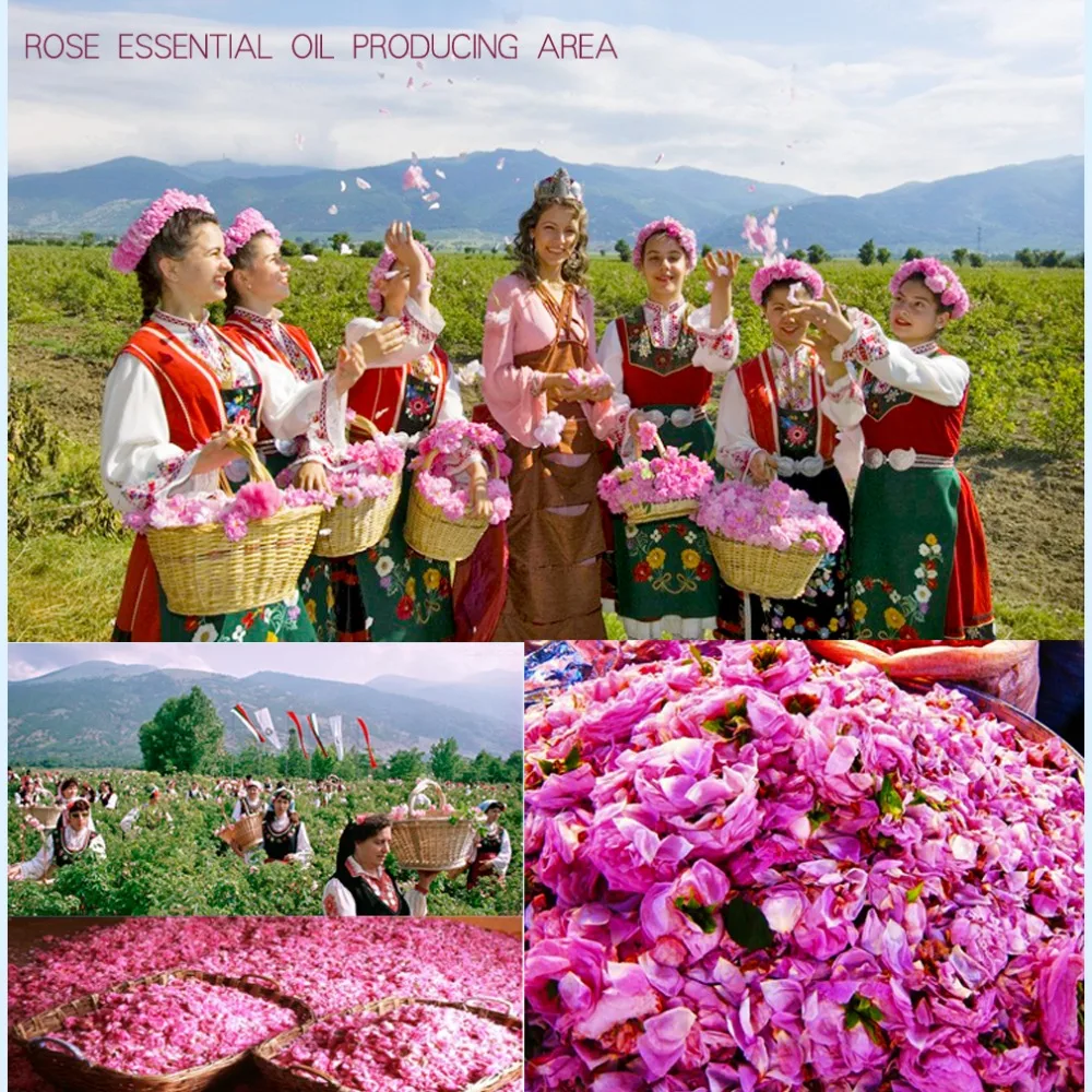 Rose essential oil (7)
