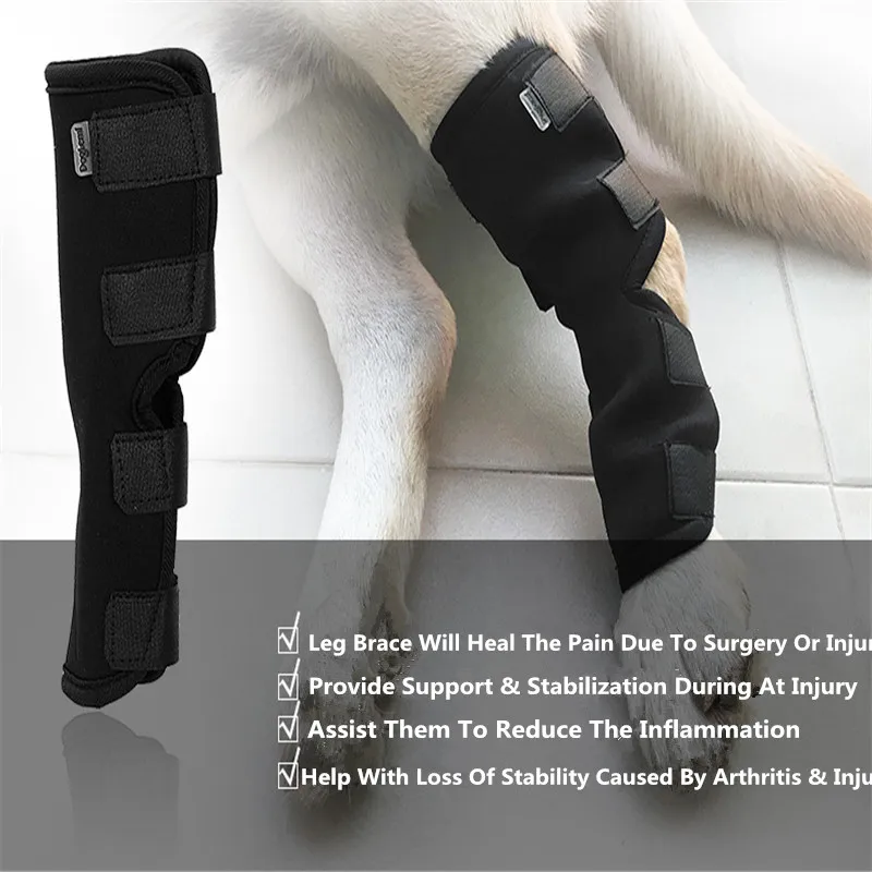 

Dog Leg Knee Hock Brace Bandages Canine Rear Joint Wrap Protects Wounds Heal Compression Kneepad Tools Prevents Injuries Sprains